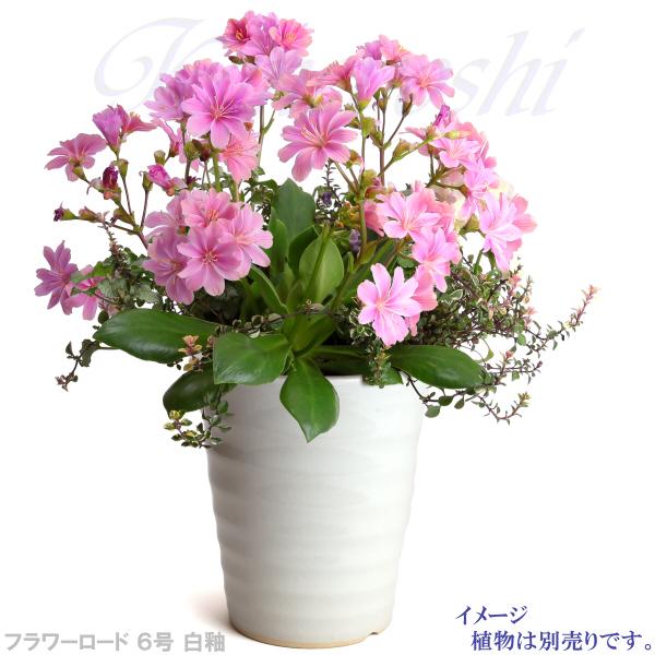 植木鉢 おしゃれ 安い 陶器 サイズ 19.5cm フラワーロード 6号 白釉 室内 屋外 ホワイト 白 色 |  | 08