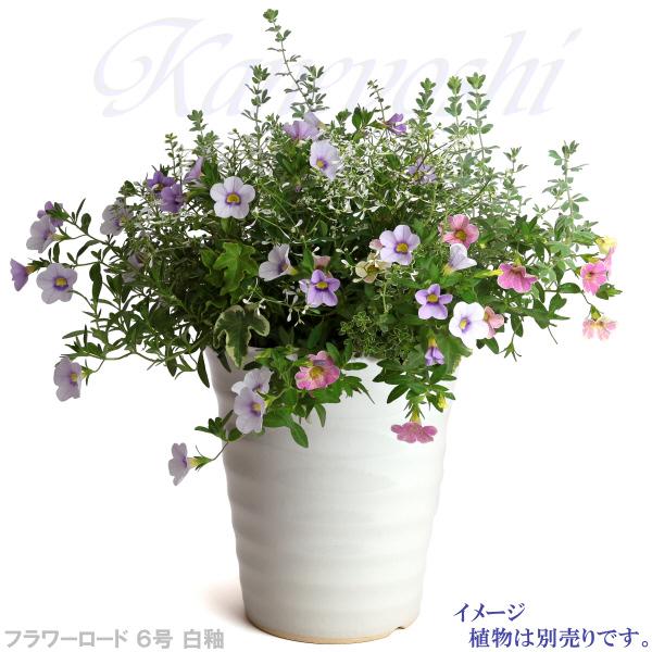 植木鉢 おしゃれ 安い 陶器 サイズ 19.5cm フラワーロード 6号 白釉 室内 屋外 ホワイト 白 色 |  | 09