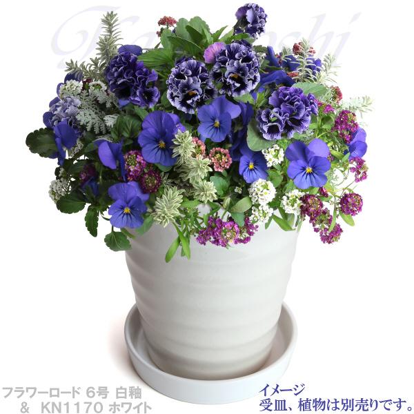 植木鉢 おしゃれ 安い 陶器 サイズ 19.5cm フラワーロード 6号 白釉