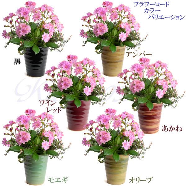 植木鉢 おしゃれ 安い 陶器 サイズ 19.5cm フラワーロード 6号 白釉 室内 屋外 ホワイト 白 色 |  | 13