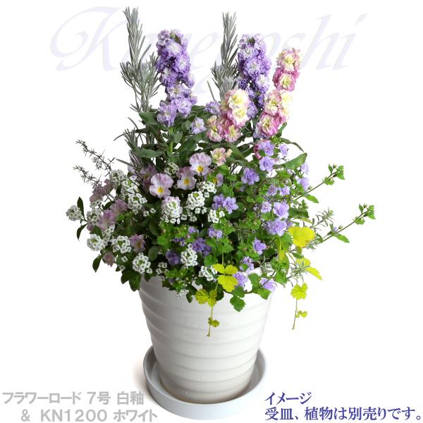 植木鉢 おしゃれ 安い 陶器 サイズ 22cm フラワーロード 7号 白釉 室内 屋外 ホワイト 白 色 |  | 10