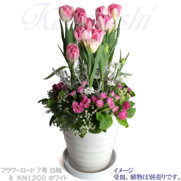 植木鉢 おしゃれ 安い 陶器 サイズ 22cm フラワーロード 7号 白釉 室内 屋外 ホワイト 白 色 |  | 11