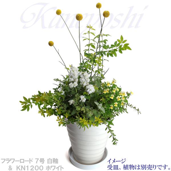 植木鉢 おしゃれ 安い 陶器 サイズ 22cm フラワーロード 7号 白釉 室内 屋外 ホワイト 白 色 |  | 12