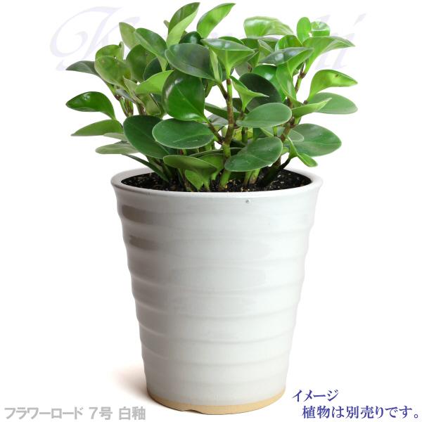 植木鉢 おしゃれ 安い 陶器 サイズ 22cm フラワーロード 7号 白釉 室内 屋外 ホワイト 白 色 |  | 08