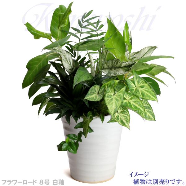 植木鉢 おしゃれ 安い 陶器 サイズ 25.5cm フラワーロード 8号 白釉 室内 屋外 ホワイト 白 色 |  | 10