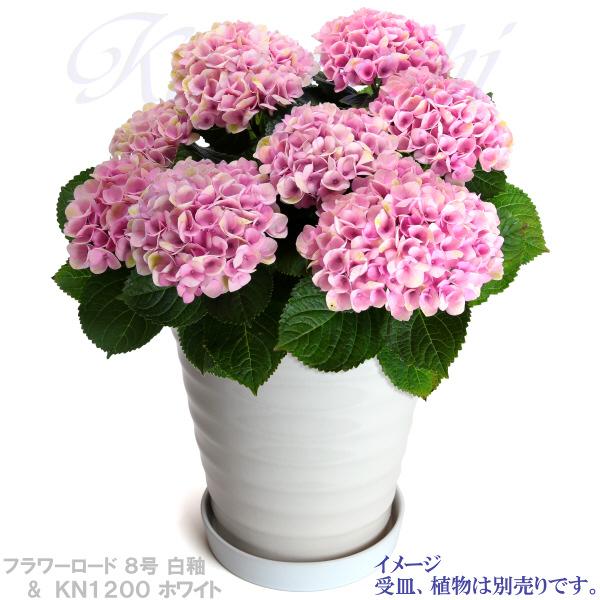 植木鉢 おしゃれ 安い 陶器 サイズ 25.5cm フラワーロード 8号 白釉 室内 屋外 ホワイト 白 色 |  | 14