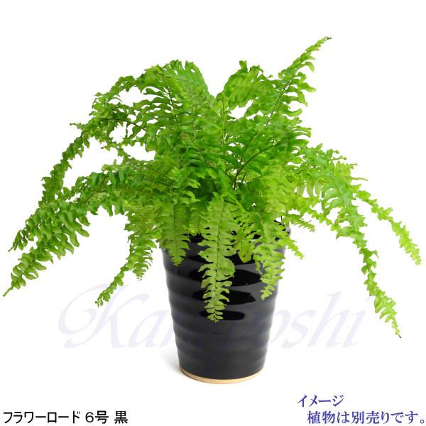 植木鉢 おしゃれ 安い 陶器 サイズ 19.5cm フラワーロード 6号 黒 室内 屋外 ブラック 色 |  | 06