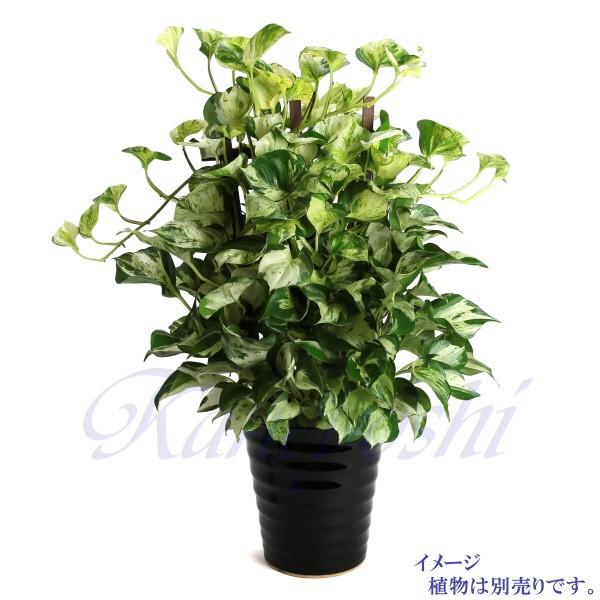 植木鉢 おしゃれ 安い 陶器 サイズ 22cm フラワーロード 7号 黒 室内 屋外 ブラック 色 |  | 05