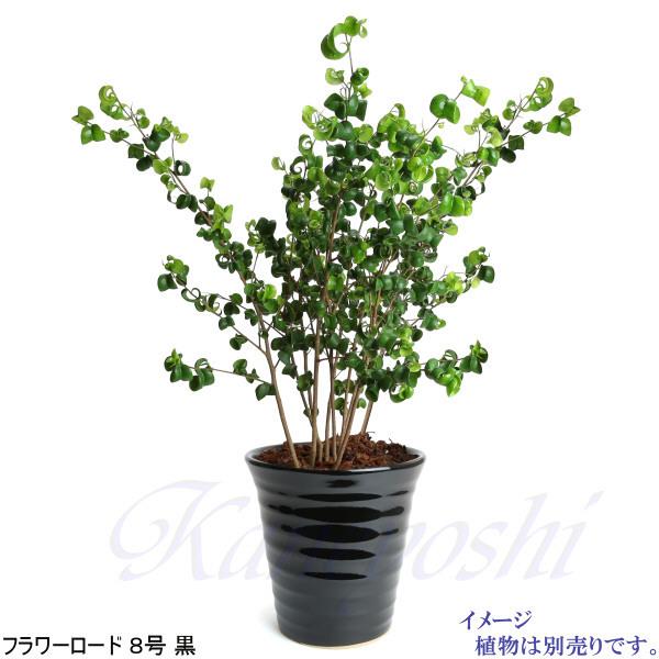 植木鉢 おしゃれ 安い 陶器 サイズ 25.5cm フラワーロード 8号