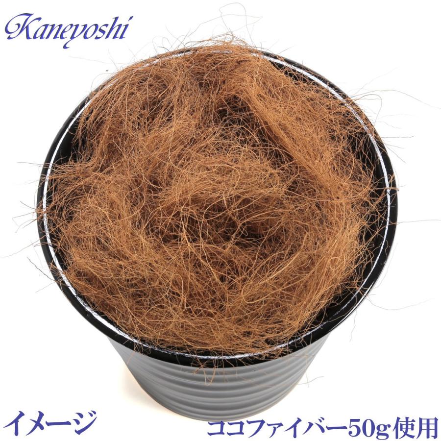 植木鉢 おしゃれ 安い 陶器 サイズ 25.5cm フラワーロード 8号 黒 室内 屋外 ブラック 色 |  | 05