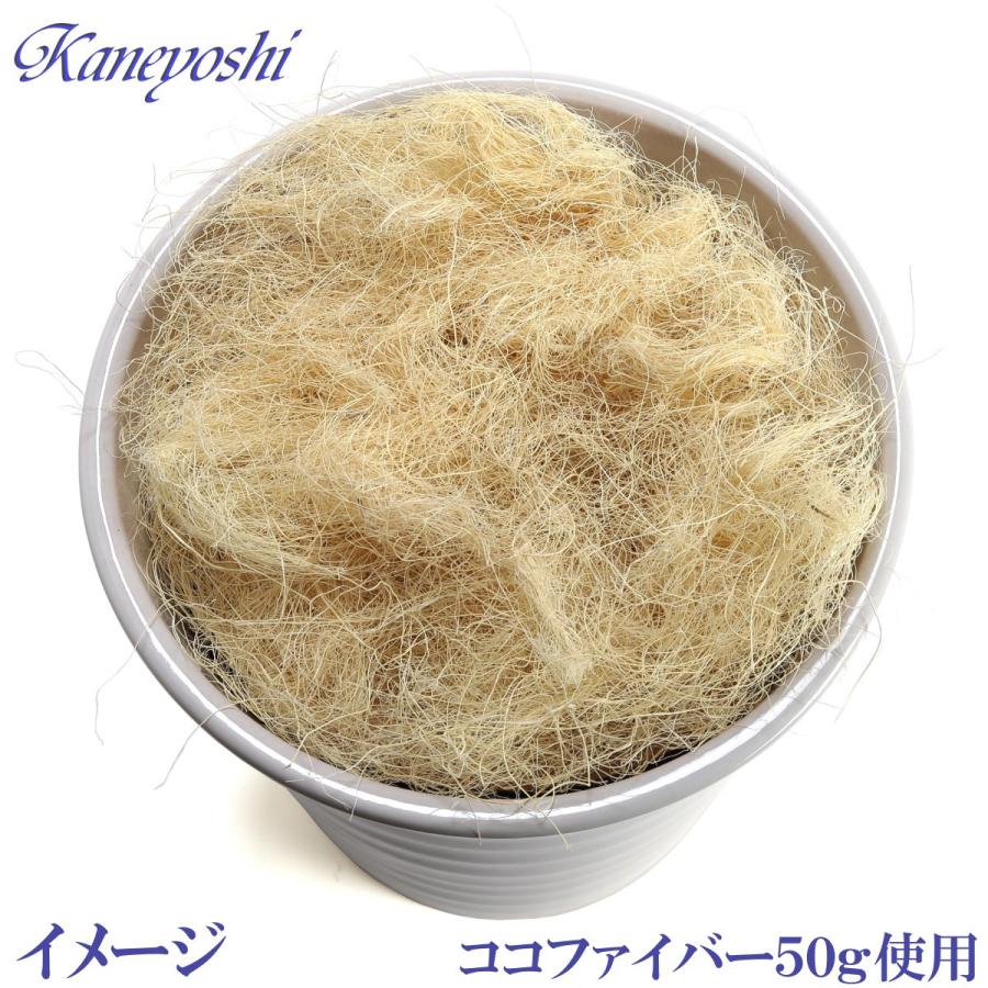 植木鉢 おしゃれ 安い 陶器 サイズ 25.5cm フラワーロード 8号 黒 室内 屋外 ブラック 色 |  | 06