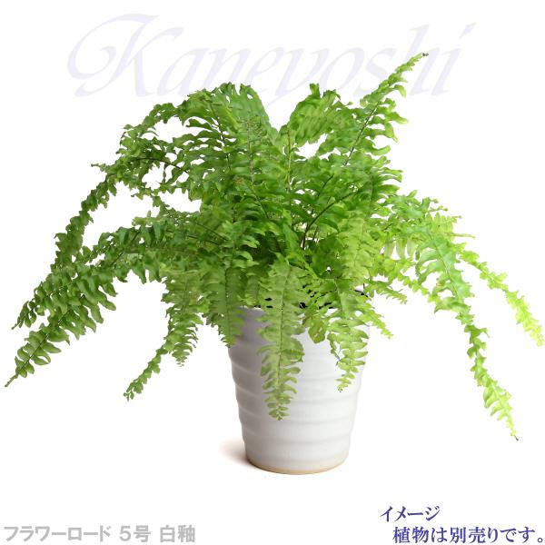 植木鉢 おしゃれ 安い 陶器 サイズ 16.5cm フラワーロード 5号 白釉 室内 屋外 ホワイト 白 色 |  | 08