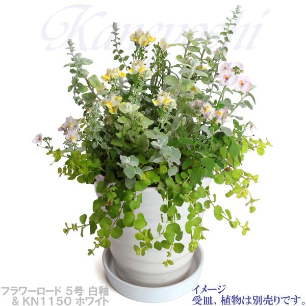 植木鉢 おしゃれ 安い 陶器 サイズ 16.5cm フラワーロード 5号 白釉 室内 屋外 ホワイト 白 色 |  | 10