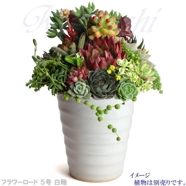 植木鉢 おしゃれ 安い 陶器 サイズ 16.5cm フラワーロード 5号 白釉 室内 屋外 ホワイト 白 色 |  | 09