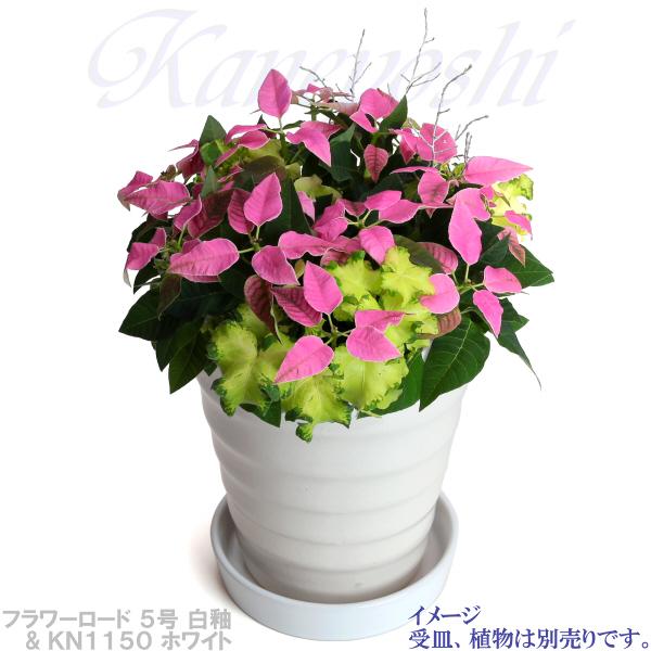 植木鉢 おしゃれ 安い 陶器 サイズ 16.5cm フラワーロード 5号 白釉 室内 屋外 ホワイト 白 色 |  | 11