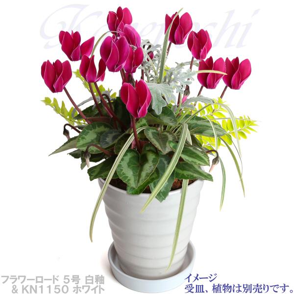 植木鉢 おしゃれ 安い 陶器 サイズ 16.5cm フラワーロード 5号 白釉 室内 屋外 ホワイト 白 色 |  | 12