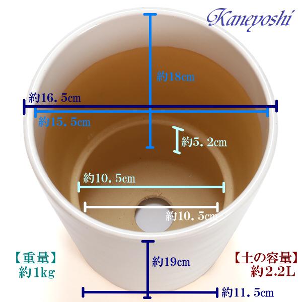 植木鉢 おしゃれ 安い 陶器 サイズ 16.5cm フラワーロード 5号 白釉 室内 屋外 ホワイト 白 色 |  | 03