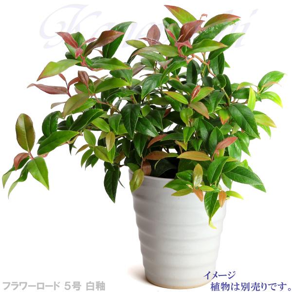 植木鉢 おしゃれ 安い 陶器 サイズ 16.5cm フラワーロード 5号 白釉 室内 屋外 ホワイト 白 色 |  | 07