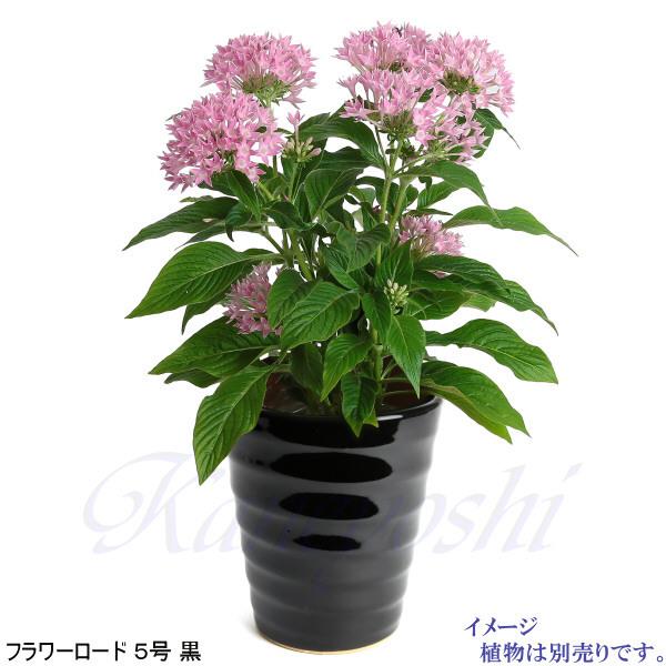 植木鉢 おしゃれ 安い 陶器 サイズ 16.5cm フラワーロード 5号 黒 室内 屋外 ブラック 色 |  | 08