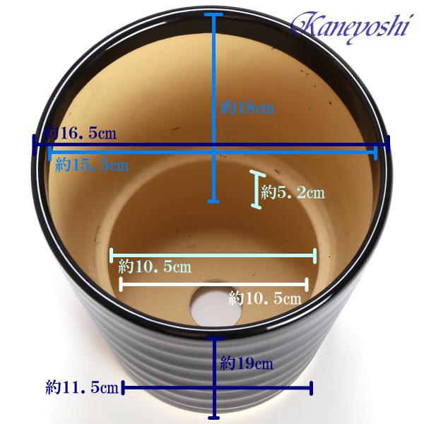 植木鉢 おしゃれ 安い 陶器 サイズ 16.5cm フラワーロード 5号 黒 室内 屋外 ブラック 色 |  | 03