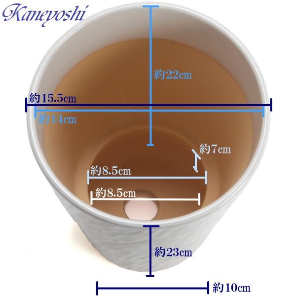 植木鉢 おしゃれ 安い 陶器 サイズ 15.5cm ログストーン 5号 白釉 室内 屋外 ホワイト 白 色 |  | 03