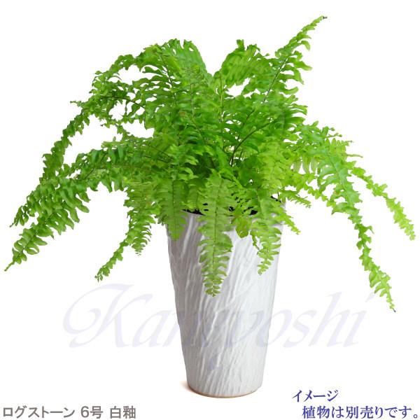 植木鉢 おしゃれ 安い 陶器 サイズ 18.5cm ログストーン 6号 白釉 室内 屋外 ホワイト 白 色 |  | 07
