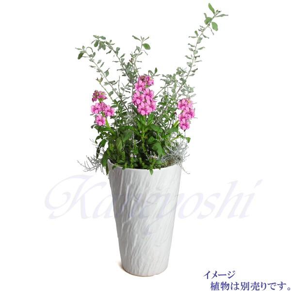 植木鉢 おしゃれ 安い 陶器 サイズ 18.5cm ログストーン 6号 白釉 室内 屋外 ホワイト 白 色 |  | 10