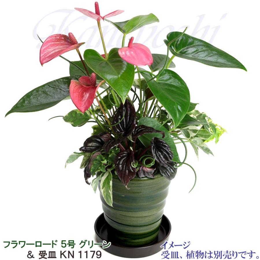 植木鉢 おしゃれ 安い 陶器 サイズ 16cm フラワーロード 5号 グリーン 室内 屋外 緑 色 |  | 10