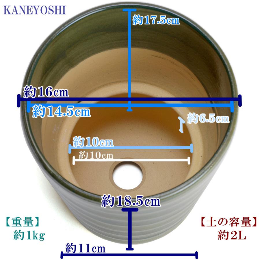 植木鉢 おしゃれ 安い 陶器 サイズ 16cm フラワーロード 5号 グリーン 室内 屋外 緑 色 |  | 03