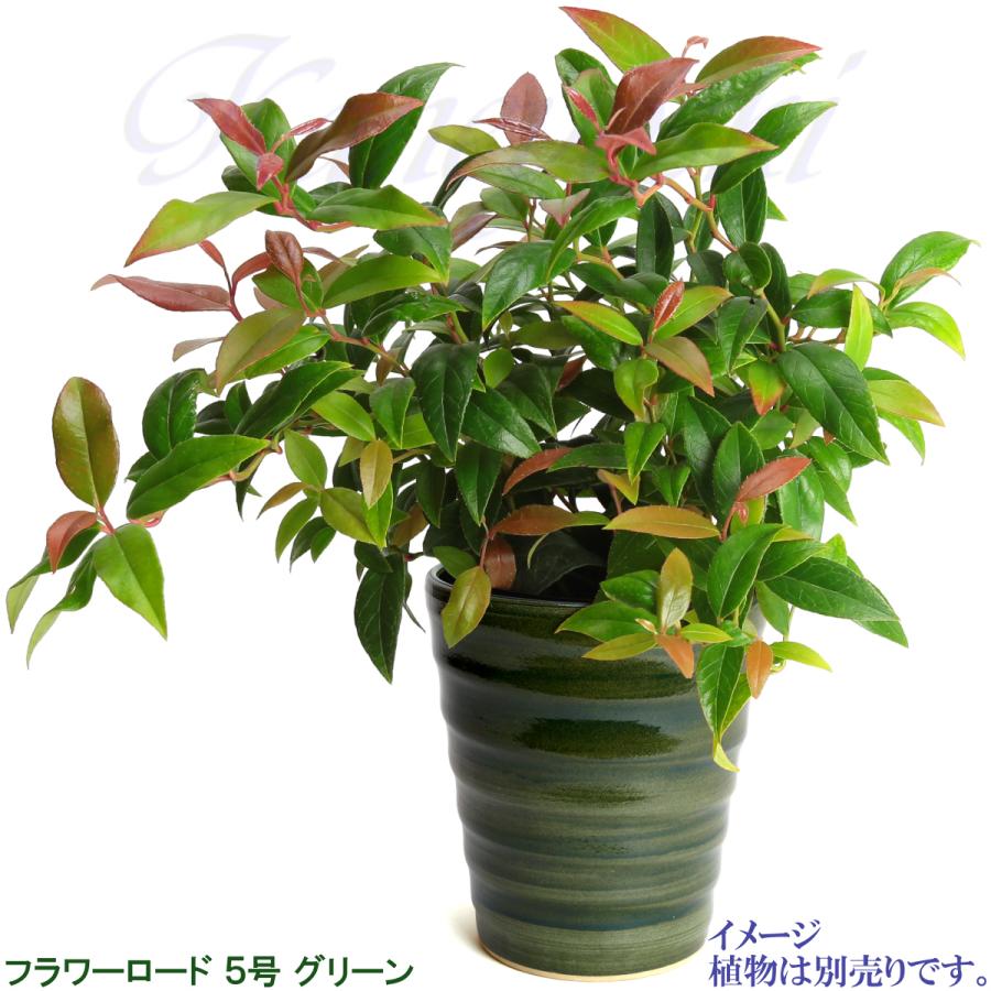 植木鉢 おしゃれ 安い 陶器 サイズ 16cm フラワーロード 5号 グリーン 室内 屋外 緑 色 |  | 07