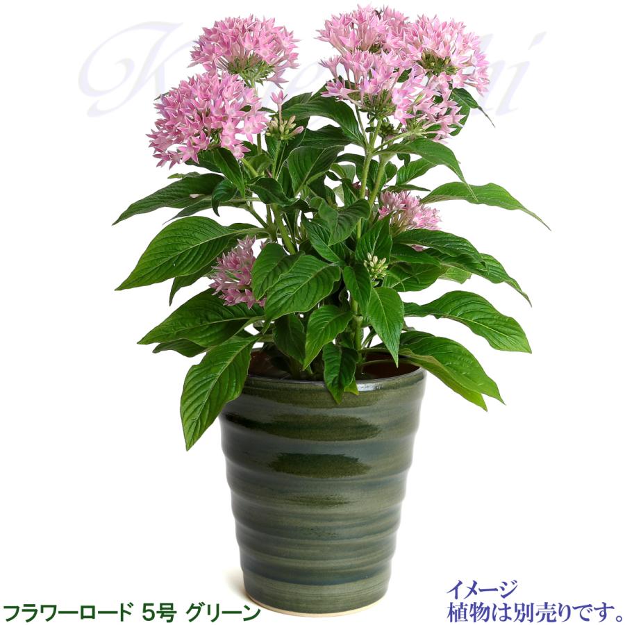 植木鉢 おしゃれ 安い 陶器 サイズ 16cm フラワーロード 5号 グリーン 室内 屋外 緑 色 |  | 08