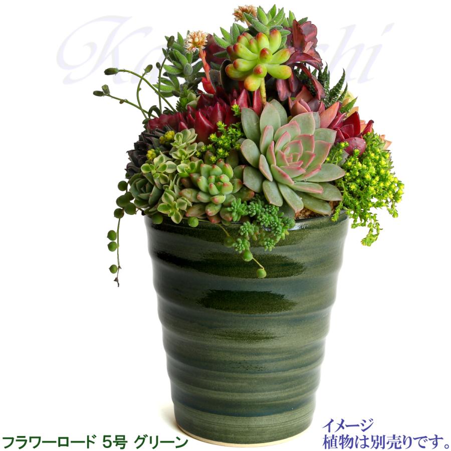 植木鉢 おしゃれ 安い 陶器 サイズ 16cm フラワーロード 5号 グリーン 室内 屋外 緑 色 |  | 09