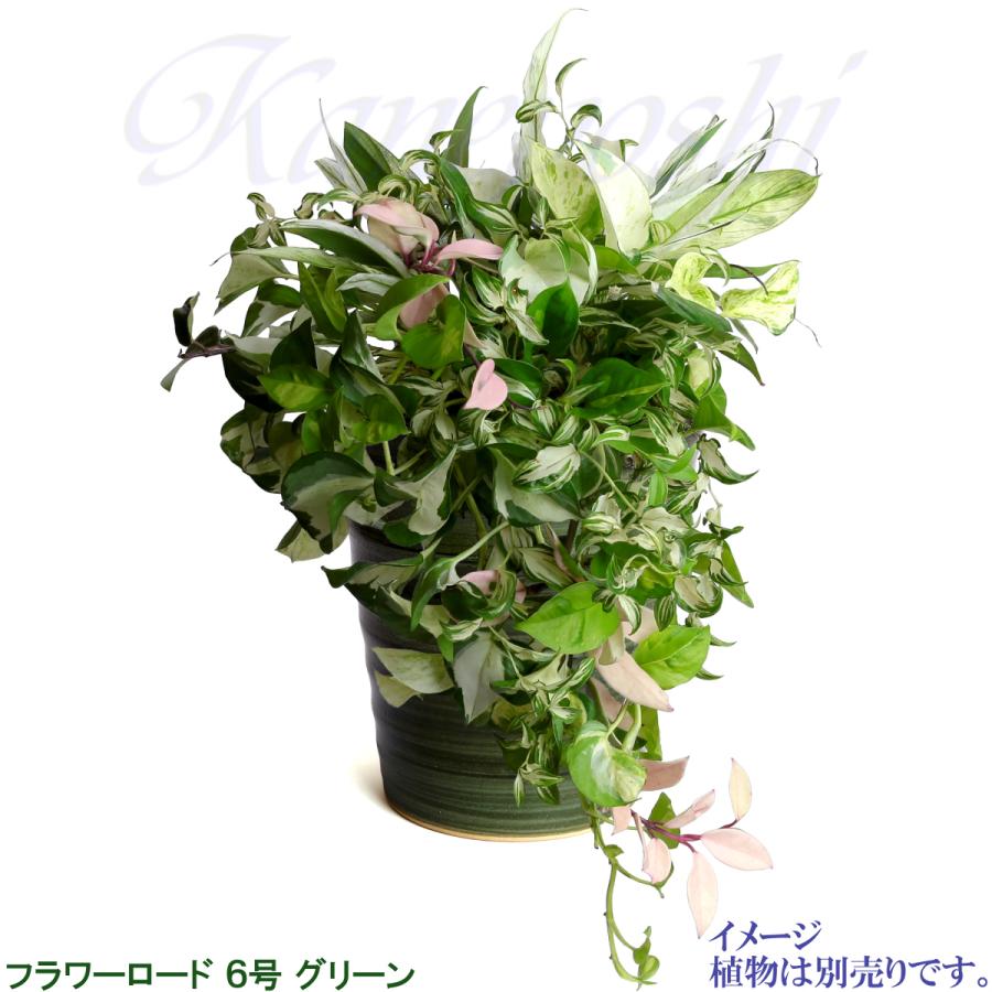 植木鉢 おしゃれ 安い 陶器 サイズ 19cm フラワーロード 6号 グリーン 室内 屋外 緑 色 |  | 08