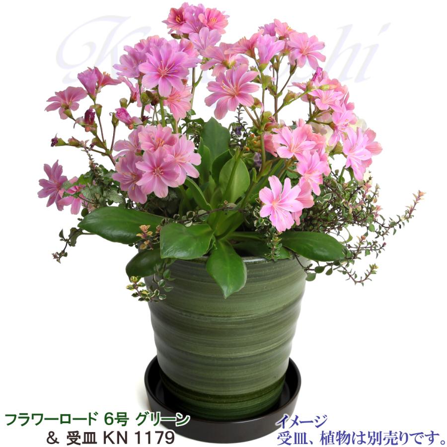 植木鉢 おしゃれ 安い 陶器 サイズ 19cm フラワーロード 6号 グリーン 室内 屋外 緑 色 |  | 10