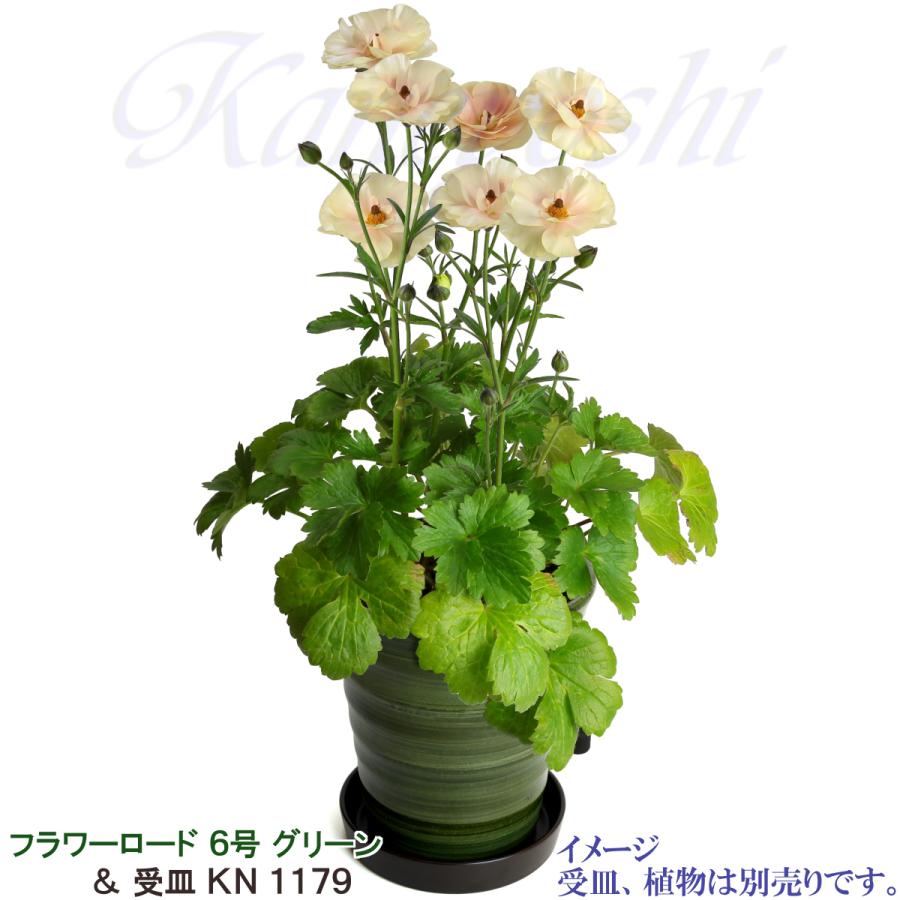 植木鉢 おしゃれ 安い 陶器 サイズ 19cm フラワーロード 6号 グリーン 室内 屋外 緑 色 |  | 12