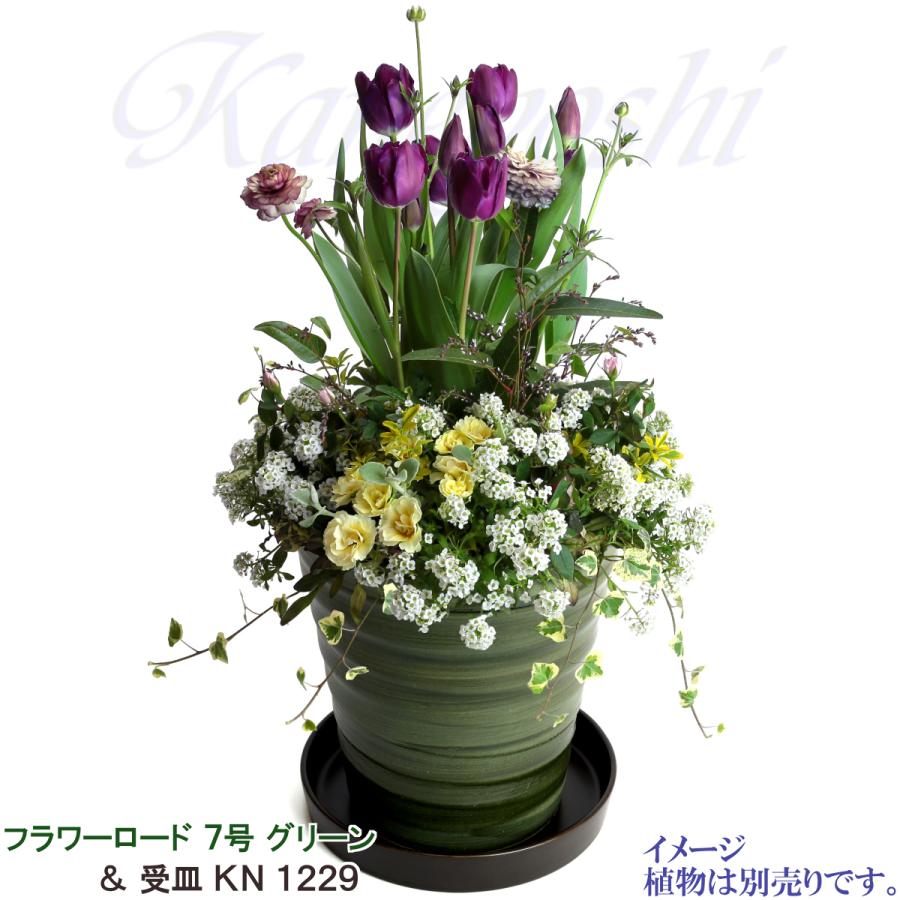 緑の力強い 鉢 花器 にもなりますˊᵕˋ 焼き物 植木鉢 おしゃれ 安い 陶器 サイズ 21.5cm フラワーロード 7号