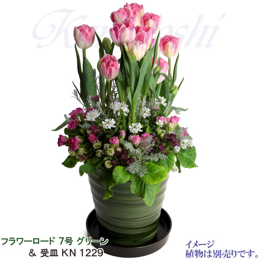 植木鉢 おしゃれ 安い 陶器 サイズ 21.5cm フラワーロード 7号