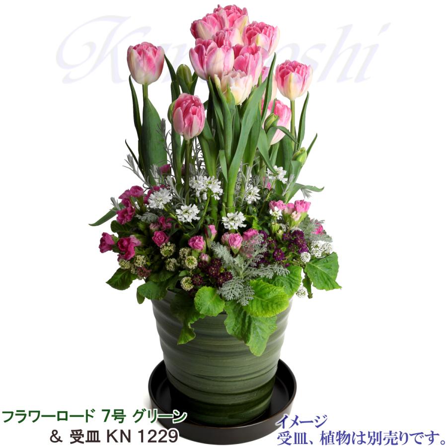 植木鉢 おしゃれ 安い 陶器 サイズ 21.5cm フラワーロード ７号 グリーン 室内 屋外 緑 色 |  | 10