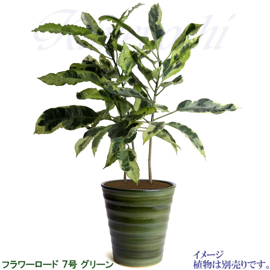 植木鉢 おしゃれ 安い 陶器 サイズ 21.5cm フラワーロード ７号 グリーン 室内 屋外 緑 色 |  | 09