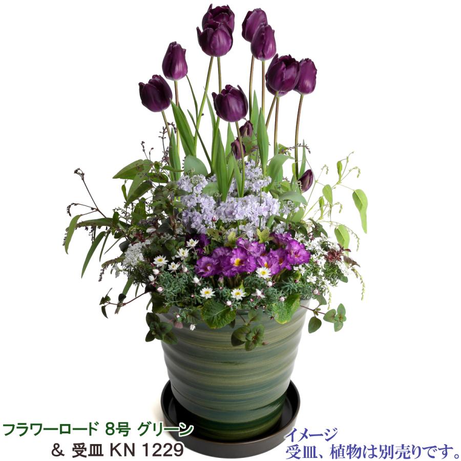 植木鉢 おしゃれ 安い 陶器 サイズ 24.5cm フラワーロード 8号 グリーン 室内 屋外 緑 色 |  | 10