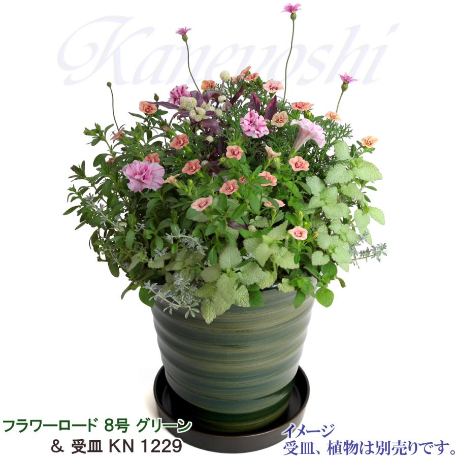 植木鉢 おしゃれ 安い 陶器 サイズ 24.5cm フラワーロード 8号 グリーン 室内 屋外 緑 色 |  | 12
