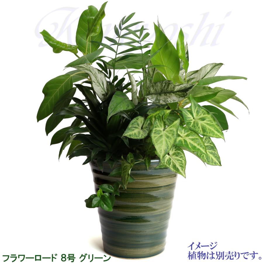 植木鉢 おしゃれ 安い 陶器 サイズ 24.5cm フラワーロード 8号 グリーン 室内 屋外 緑 色 |  | 08
