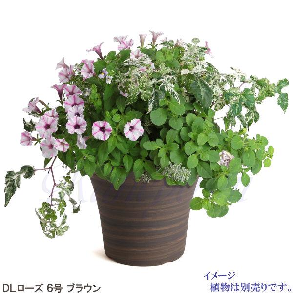 植木鉢 おしゃれ 安い 陶器 サイズ 20cm DLローズ 6号 ブラウン 室内 屋外 茶 色 |  | 07