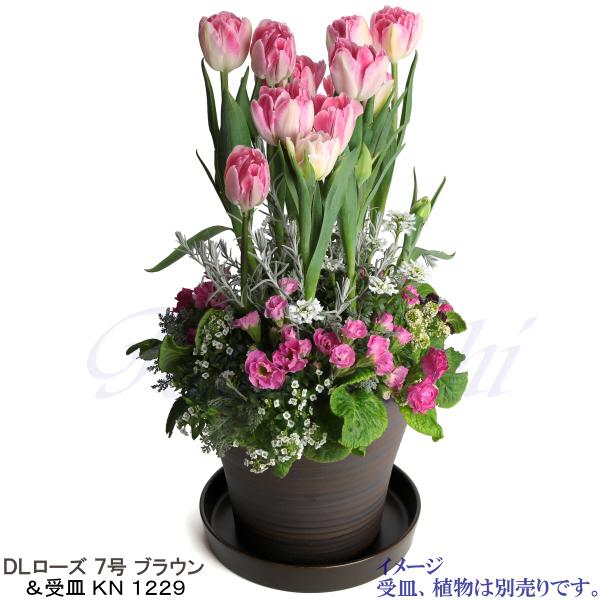 植木鉢　陶器　おしゃれ　サイズ　２３．５ｃｍ　安くて丈夫　ＤＬローズ　７号　ブラウン |  | 10