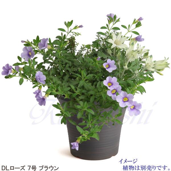 植木鉢　陶器　おしゃれ　サイズ　２３．５ｃｍ　安くて丈夫　ＤＬローズ　７号　ブラウン |  | 07