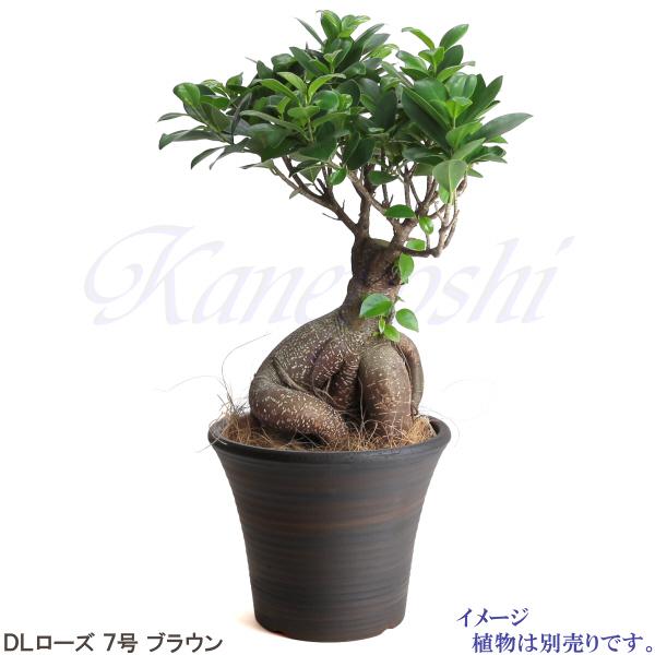 植木鉢　陶器　おしゃれ　サイズ　２３．５ｃｍ　安くて丈夫　ＤＬローズ　７号　ブラウン |  | 08
