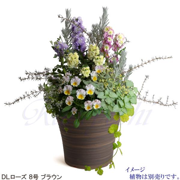 植木鉢　陶器　おしゃれ　サイズ　２６．５ｃｍ　安くて丈夫　ＤＬローズ　８号　ブラウン |  | 09