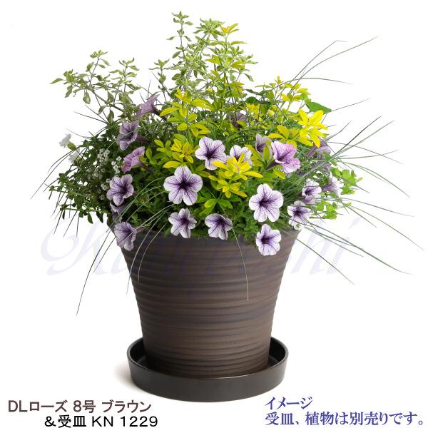 植木鉢　陶器　おしゃれ　サイズ　２６．５ｃｍ　安くて丈夫　ＤＬローズ　８号　ブラウン |  | 10