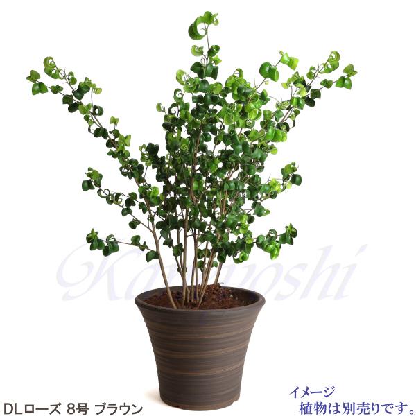 植木鉢　陶器　おしゃれ　サイズ　２６．５ｃｍ　安くて丈夫　ＤＬローズ　８号　ブラウン |  | 08