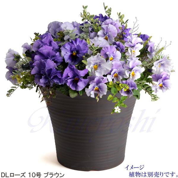 植木鉢　陶器　おしゃれ　サイズ　３１．５ｃｍ　安くて丈夫　ＤＬローズ　１０号　ブラウン |  | 10